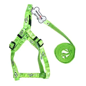 Petlicious & More 15 mm Printed Nylon Puppy Harness & Leash Set for Small & Medium Dogs - Parrot