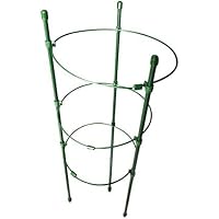 Amazon.es: Soportes para plantas: Jardín