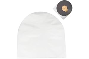 MEGYAD 100 unidades fundas interiores para discos de vinilo: LP fundas interiores antiestáticas forradas de vinilo fundas protectoras de 12 pulgadas fundas transparentes para discos de CD para guardar