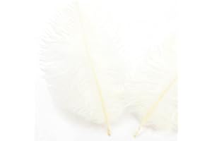 DUORIES 30 piume di struzzo naturali, 20-25 cm, per fai da te, per acchiappasogni, accessori fai da te, decorazione per la casa, costumi, decorazione da tavolo, matrimoni, feste, cappelli, vestiti, colore