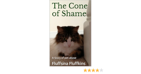 cone of shame amazon