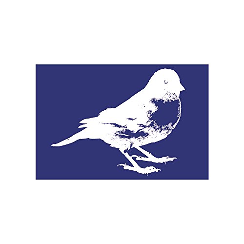 Rayher 4502800 Schablone: Vogel, DIN A5, 1 Schablone + Rakel im SB-Btl.