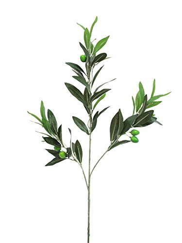 Preisvergleich Produktbild Olivenzweig 64Blätter 6Oliven 68cm / 6Stk., Kunstpflanze