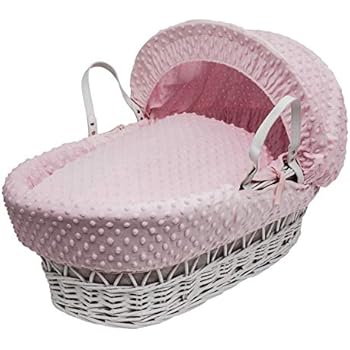 cat proof moses basket