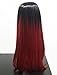 Tsnomore Silky Long Black to Red Ombre Synthetic Wig