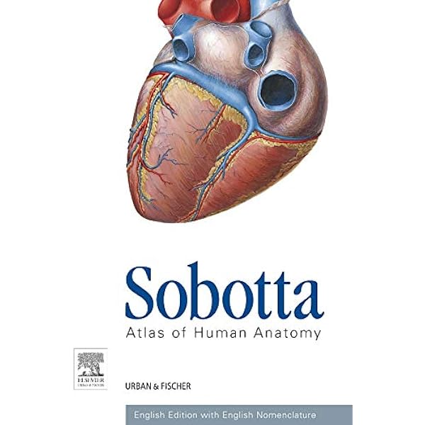 Sobotta Atlas Of Human Anatomy Package 15th Ed English Musculoskeletal System Internal Organs Head Neck Neuroanatomy Paulsen Friedrich Waschke Jens Hombach Klonisch Sabine Klonisch Thomas Amazon De Bucher