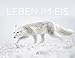Leben im Eis 2020 - Tierwelt Arktis und Antarktis, Wandkalender im Querformat (54x42 cm) - Minimalistischer Naturkalender mit Tieren der Polarregion by