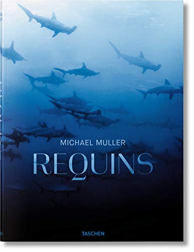 FO-Requins FO-Requins