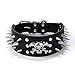 Produktbild muodu Totenkopf verstellbar mit Spike-Nieten Kroko Kunstleder Hundehalsband