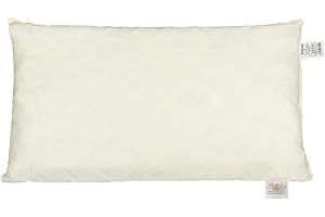 beties „Publik“ Federkissen ca. 30x50 cm Kopfkissen Sofakissen mit Federfüllung (echte Federn) vielfältige Größenauswahl, waschbar traditionell gefertigt