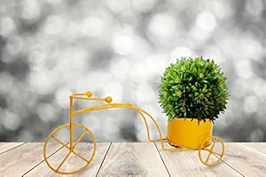 HINS Cycle Metal Pot For Indoor & Table (Yellow, Medium) Metal Pots For Indoor Plants I Elevated Garden Planter I Raised Planter I Desk Plant I Raised Planter Box I Ascent Homes Metal Planter I Raised Planter Box With Legs I Brass Pots For Indoor Plants I Golden Planter I Mid Century Plant Stand I Brass Planters For Indoor Plants I Indoor Plant Stand For Living Room I Metal Planters Pot For Indoor Plants designer pots for indoor plants