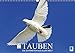 Produktbild Tauben: die Schönsten aus aller Welt (Wandkalender 2017 DIN A3 quer): Tauben: Gurren, Turteln und Flügelschwung (Monatskalender, 14 Seiten ) (CALVENDO Tiere)