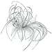 Elegant and Feminine Chiffon and feather fascinator On Comb ,Available in 5 Colours ,Red,Silver Grey,Black ,Brown and Cream ,Ideal wedding,Ladies day ,Ascot ,race meetings or any Special Occasion .Guaranteed to Turn heads Whenever Worn . (Grey)