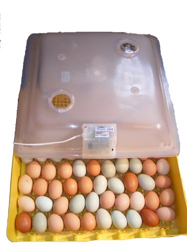 Motorbrüter direkt vom Hersteller Campo24 G ® Incubator/Inkubator/Brüter/Brutmaschine/Brutgerät/Flächenbrüter mit Umluftmotor - 4