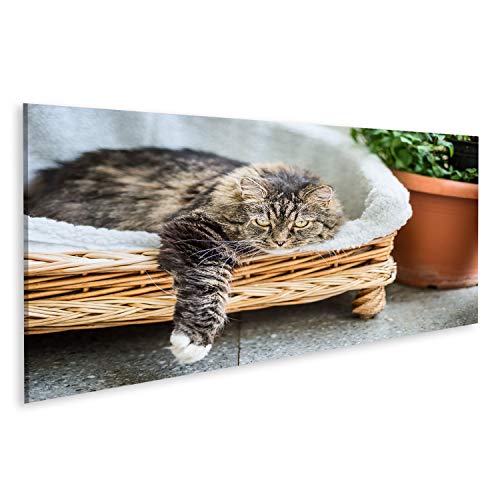 Canapé Aumüller En Osier Pour Chat