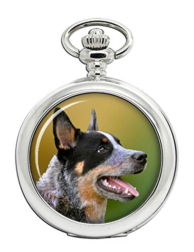 Preisvergleich Produktbild Australian Cattle Dog Full Hunter Taschenuhr