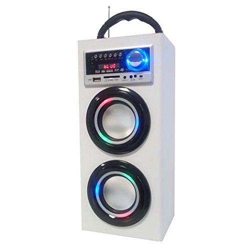 Majestic TS 78 BT USB SD AX - Altoparlanti a torre portatili con Bluetooth,  Ingressi USB/SD/AUX-IN, radio FM, batteria ricaricabile, luci intermittenti, Bianco