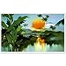 Produktbild HYDWX Eine Villa am Meer Malen nach Zahlen Kits Baumwolle malerei auf Baumwolle einzigartiges Geschenk Home Decor Wand Kunstwerk 40x50 cm