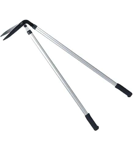 Spear & Jackson Razorsharp Cisailles à Gazon En Acier - Outil De Précision Pour Bordures Parfaites