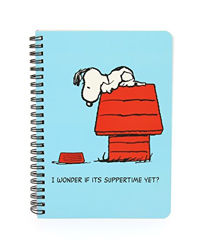 Preisvergleich Produktbild Peanuts Vintage A5 Notebook