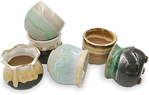 ROSE CREATE 6 Pcs 2.5 Inches Flower Pots, Little Ceramic Succulent Bonsai Pots with a Hole - Mini Pots