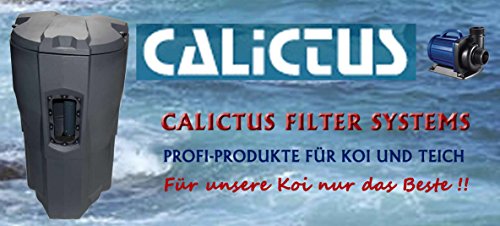 Teichpumpe, Filterpumpe Koiteich, Gartenteichpumpe, 15000L / H, Calictus ECO 15000, leistungsstarke, energiesparende ECO Teichpumpe mit Keramikachse, meerwassergeeignet, mit Trockenlaufschutz, ideal für den Koiteich, Gartenteich, Bachläufe und Fontänen, 15000 L /H, 135 Watt, von Calictus Filter Systems - 5