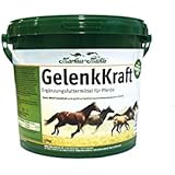 Markus Mühle GelenkKraft 