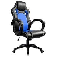 IntimaTe WM Heart PC Gaming Desk Chair, Office Computer Gamer Swivel Recling Chairs with Arms For Adults and Kids