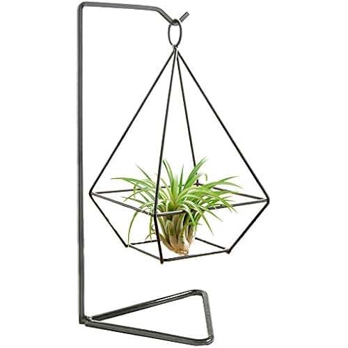Amazon.co.uk hanging basket stands metal