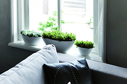 elho Brussels Diamond Oval Blumentopf 36cm – Weiss - 6