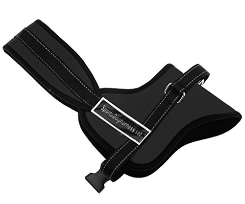 Preisvergleich Produktbild L Einstellbar Hundegeschirr Hunde Brustgeschirr Haustier Schwarz Dog Kontrolle