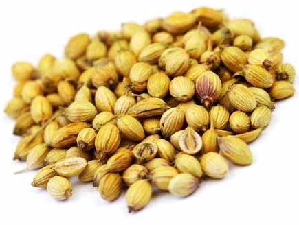Coriander Seeds / Whole Coriander Seeds Cooking Asian Herbs and Spices 250g