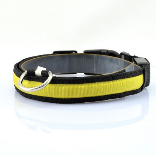 DOG-COLLAR-pet-LED-light-up-flashing-luminous-night-safety-coloured-bright-VARIOUS-COLOURS-AVAILBLE-UK-SELLER