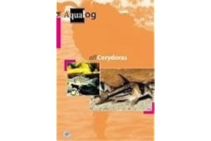 Aqualog All Corydoras