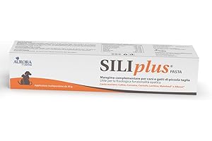 Aurora biofarma Siliplus Pasta 30gr