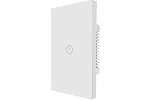 GOOGBO Smart Wall Switch, light switch Smart Timing Switch, telecomando con smartphone, compatibile con iOS e Android, con Alexa Echo e Google Assistant (Smart Light Switch 1gang 1pack)