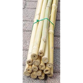 Canne Di Bambù 210cm X Ø20-22mm - 50 Pezzi Per Piante, Orto, Decorazioni - Foto 9