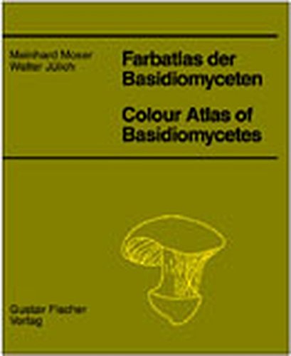 Preisvergleich Produktbild Farbatlas der Basidiomyceten, Lfg. 19: (mit Schnellhefter)