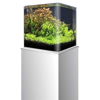 Amtra Cuve Nano Tank Aquarium pour Aquariophile 20