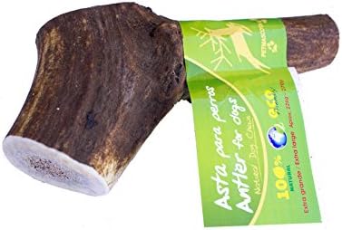 Antler dog chew - 100% natural - Extra Large size