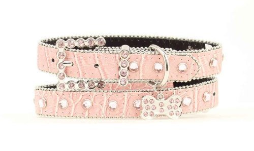 Preisvergleich Produktbild Blazin Roxx 9300724 1-in Pet Collar Pink Medium by Blazin Roxx
