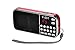 Produktbild eJiasu Tragbare Mini Digital USB FM Radio Unterstützungs-MP3-Musik-Spieler TF-Karte / USB Disk mit LED-Screen-Display / Taschenlampe für PC iPod iPhone und andere Android-Handys (rot)