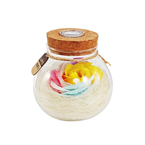 Kuulee Geburtstagsgeschenk Rose Licht Flasche Kreative Romantische dimmbare RGB LED Dimmer Licht mit Fernbedienung 16 Farben Dekoartikel Damen, Mädchen, Tochter und Freundin