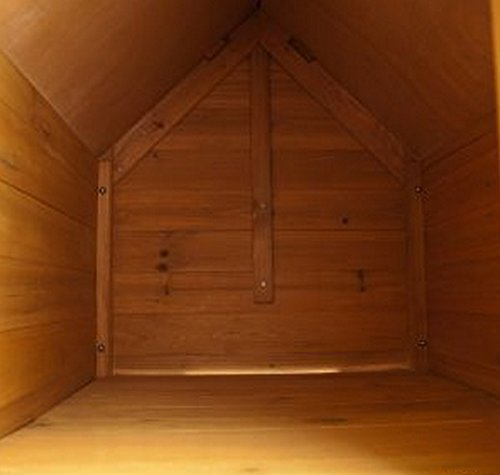 Dog-Kennel-Sturdy-Attractive-Outdoor-Dog-Kennel