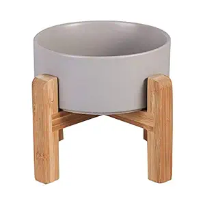 LIONWEI LIONWELI Ceramic Elevated Raised Cat Bowl with Wood Stand No Spill Pet Food Water Feeder Cats Small Dogs