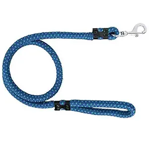 Black Apple Nylon Rope Leash for Large Breed Dog (22mm)- X-Large (Color May Vary)
