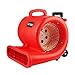 Produktbild FSS Gebläse Teppichboden-Trockner 3-Fach, Mit Spurstange Und Riemenscheibe  LuftbewegungsgebläSe, Mini, MäChtig, Bodenventilator, Rot