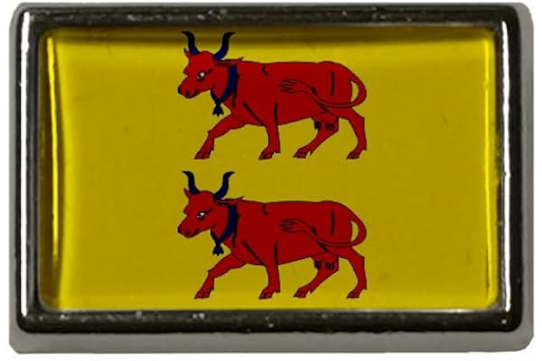 U24 Pin Bearn Épinglette Drapeau Épinglette Drapeau, Acrylique
