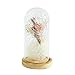 Produktbild LILICAT Festival Geschenk Mikro Landschaft LED-Beleuchtung Kunstblumen sukkulente Pflanzen kleine kreative Blume mit Simulation Gypsophila Glasabdeckung (Mehrfarbig)