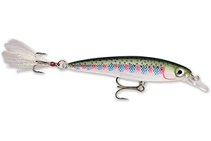 Rapala X-Rap jerkbait 06 esche da pesca